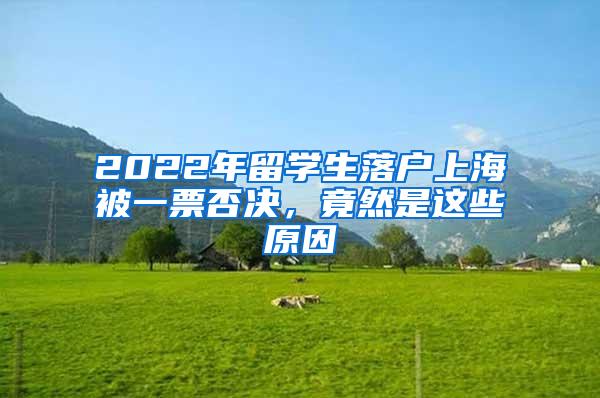2022年留学生落户上海被一票否决，竟然是这些原因