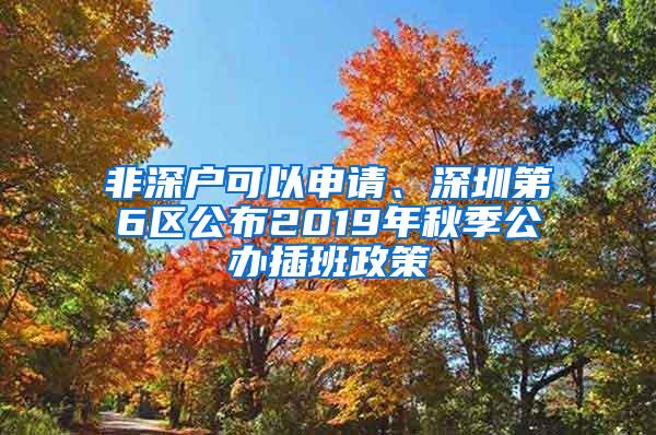非深户可以申请、深圳第6区公布2019年秋季公办插班政策