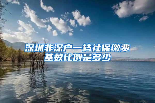 深圳非深户一档社保缴费基数比例是多少