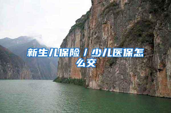 新生儿保险／少儿医保怎么交