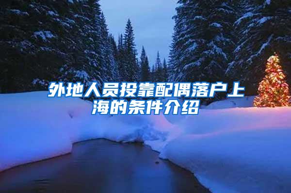 外地人员投靠配偶落户上海的条件介绍