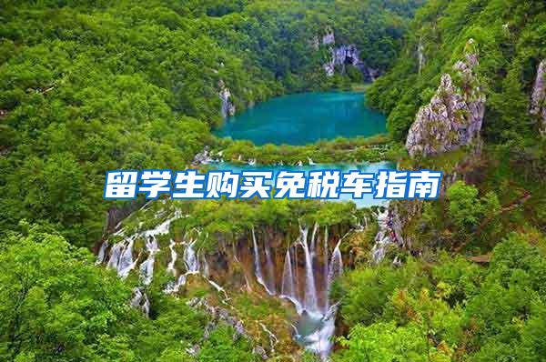 留学生购买免税车指南