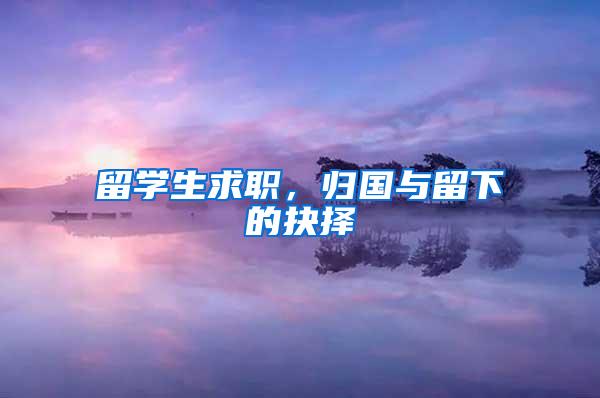 留学生求职，归国与留下的抉择