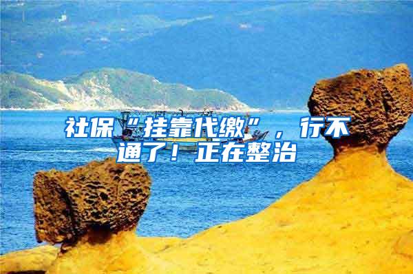 社保“挂靠代缴”，行不通了！正在整治