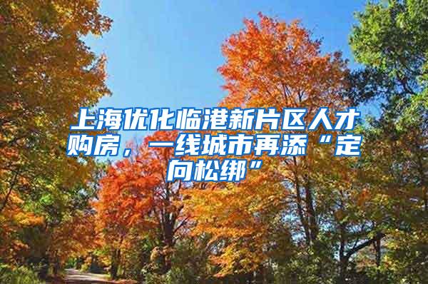 上海优化临港新片区人才购房，一线城市再添“定向松绑”