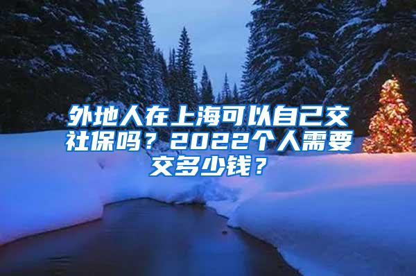 外地人在上海可以自己交社保吗？2022个人需要交多少钱？