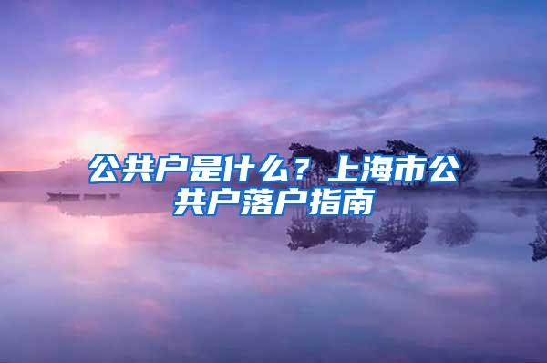 公共户是什么？上海市公共户落户指南