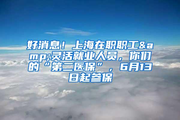 好消息！上海在职职工&灵活就业人员，你们的“第二医保”，6月13日起参保