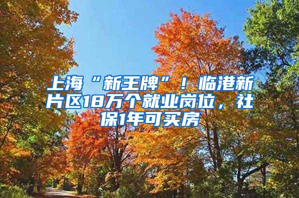 上海“新王牌”！临港新片区18万个就业岗位，社保1年可买房