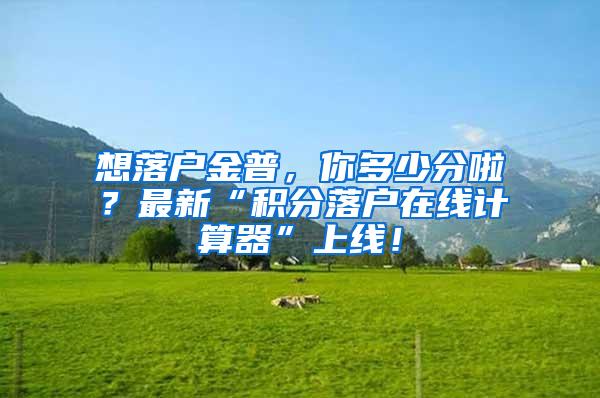 想落户金普，你多少分啦？最新“积分落户在线计算器”上线！
