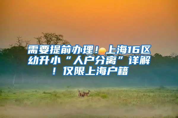 需要提前办理！上海16区幼升小“人户分离”详解！仅限上海户籍