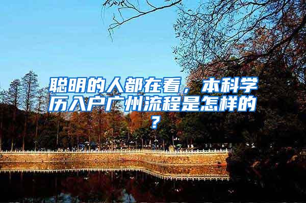 聪明的人都在看，本科学历入户广州流程是怎样的？