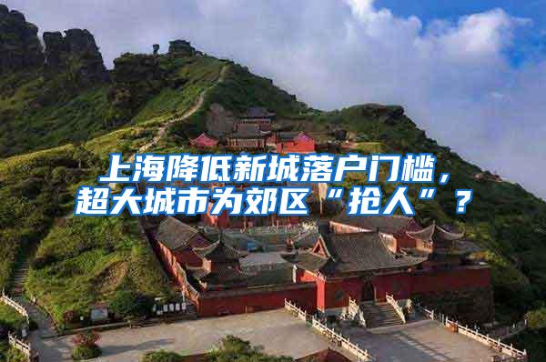 上海降低新城落户门槛，超大城市为郊区“抢人”？