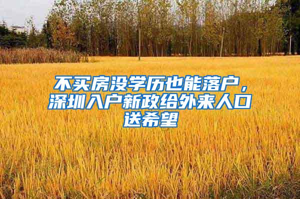 不买房没学历也能落户，深圳入户新政给外来人口送希望