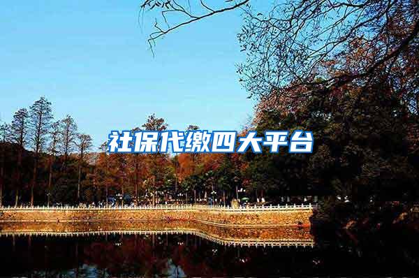 社保代缴四大平台