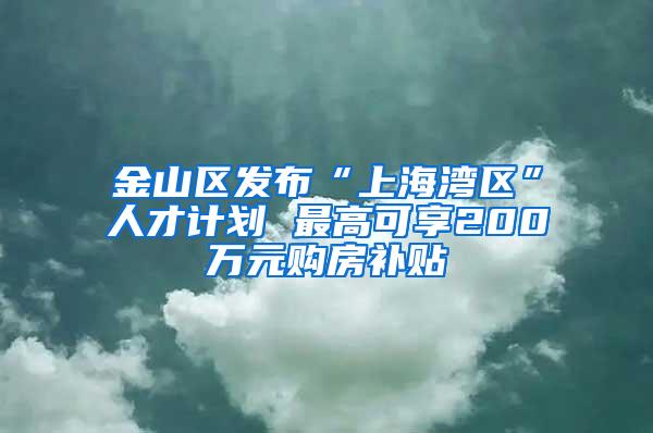 金山区发布“上海湾区”人才计划 最高可享200万元购房补贴