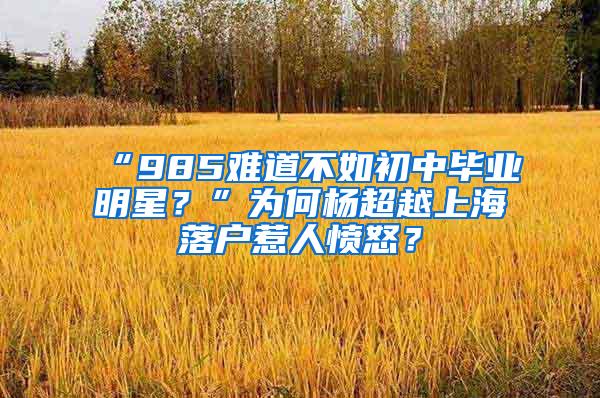 “985难道不如初中毕业明星？”为何杨超越上海落户惹人愤怒？