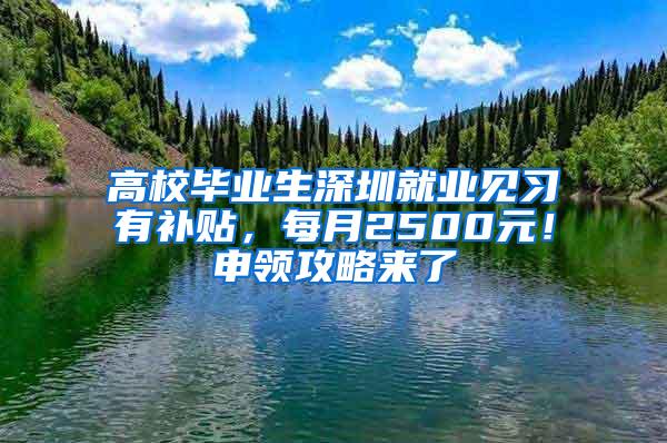 高校毕业生深圳就业见习有补贴，每月2500元！申领攻略来了