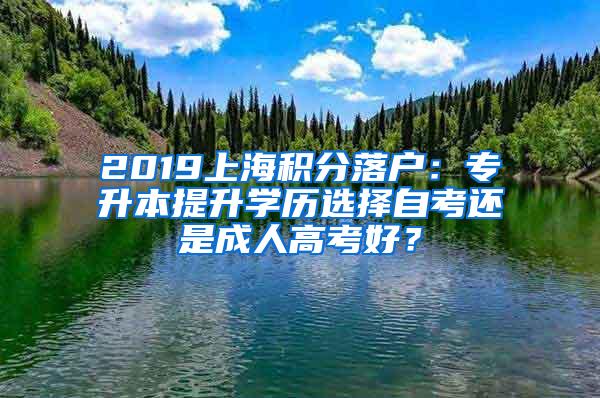 2019上海积分落户：专升本提升学历选择自考还是成人高考好？
