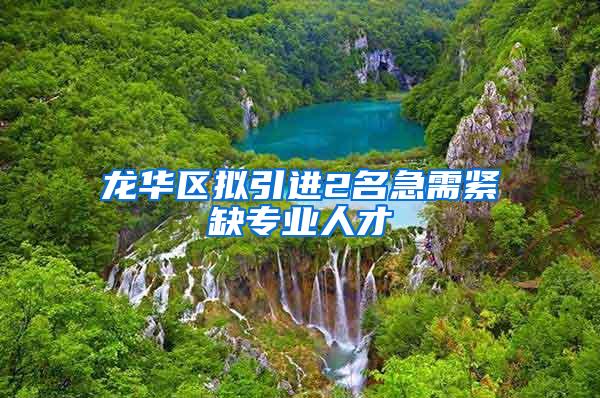 龙华区拟引进2名急需紧缺专业人才