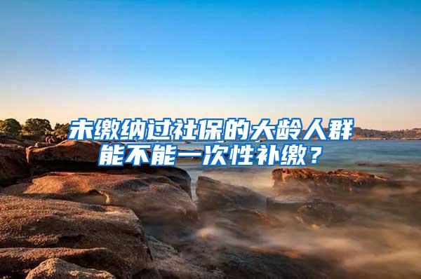 未缴纳过社保的大龄人群能不能一次性补缴？