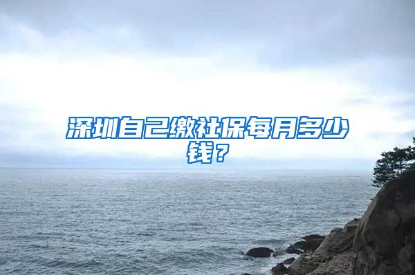 深圳自己缴社保每月多少钱？
