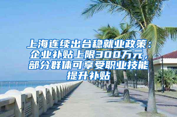 上海连续出台稳就业政策：企业补贴上限300万元，部分群体可享受职业技能提升补贴
