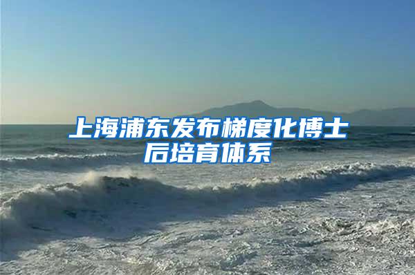 上海浦东发布梯度化博士后培育体系