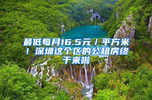 最低每月16.5元／平方米！深圳这个区的公租房终于来啦