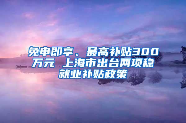 免申即享、最高补贴300万元 上海市出台两项稳就业补贴政策