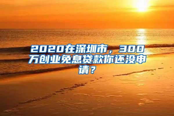 2020在深圳市，300万创业免息贷款你还没申请？