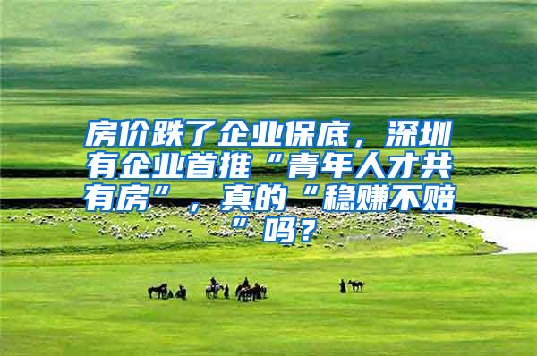 房价跌了企业保底，深圳有企业首推“青年人才共有房”，真的“稳赚不赔”吗？