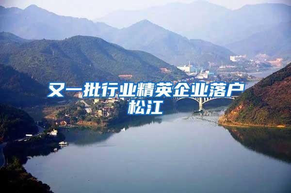又一批行业精英企业落户松江