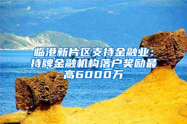 临港新片区支持金融业：持牌金融机构落户奖励最高6000万