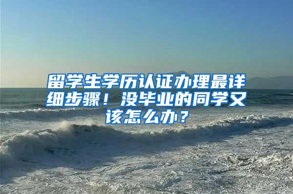 留学生学历认证办理最详细步骤！没毕业的同学又该怎么办？