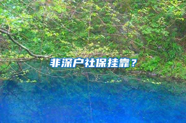 非深户社保挂靠？