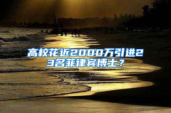 高校花近2000万引进23名菲律宾博士？