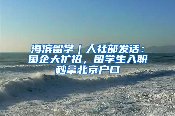 海滨留学｜人社部发话：国企大扩招，留学生入职秒拿北京户口