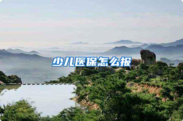 少儿医保怎么报
