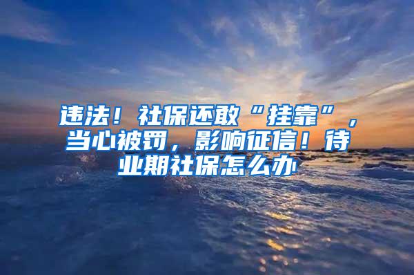 违法！社保还敢“挂靠”，当心被罚，影响征信！待业期社保怎么办