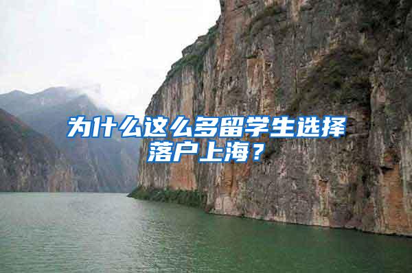 为什么这么多留学生选择落户上海？