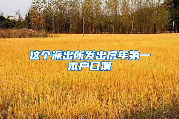 这个派出所发出虎年第一本户口簿