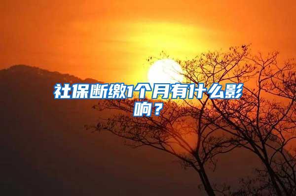社保断缴1个月有什么影响？