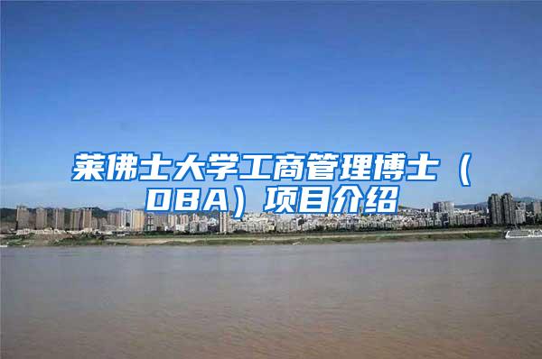 莱佛士大学工商管理博士（DBA）项目介绍
