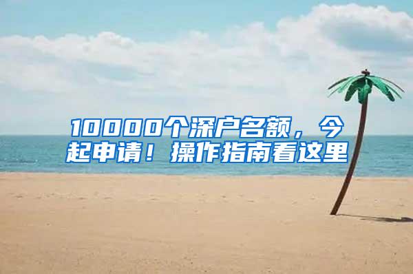 10000个深户名额，今起申请！操作指南看这里