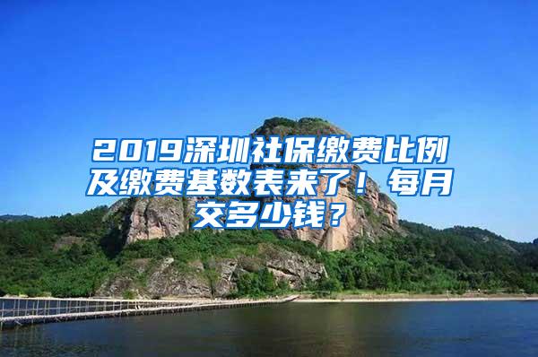 2019深圳社保缴费比例及缴费基数表来了！每月交多少钱？