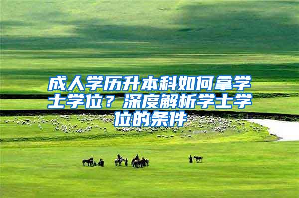 成人学历升本科如何拿学士学位？深度解析学士学位的条件