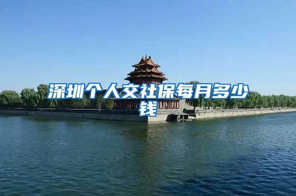 深圳个人交社保每月多少钱