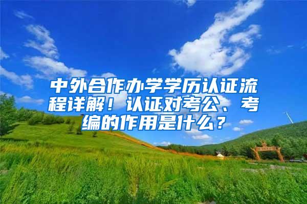 中外合作办学学历认证流程详解！认证对考公、考编的作用是什么？