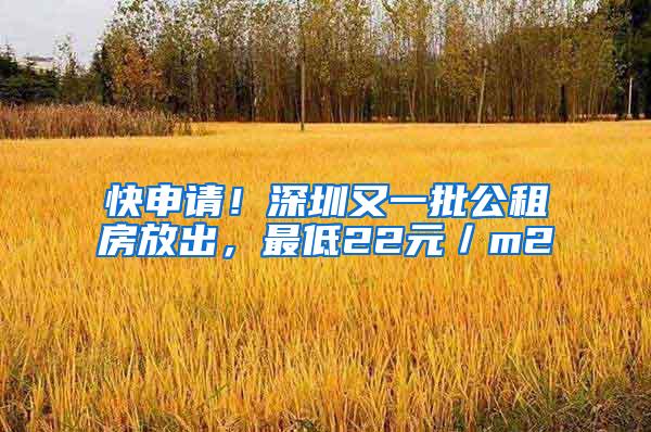 快申请！深圳又一批公租房放出，最低22元／m2